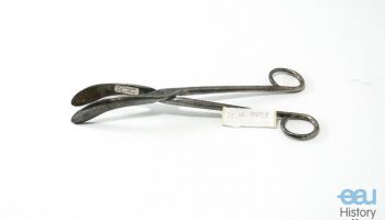 Stone Forceps
