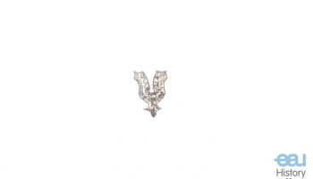 Circumcision utensil