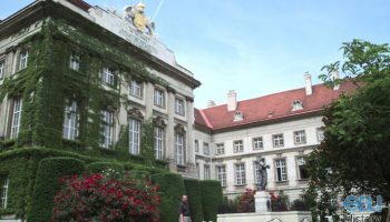 The return of the Bozzini Lichtleiter