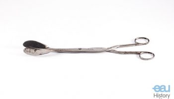Bladder forceps