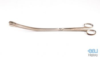 Bladder forceps