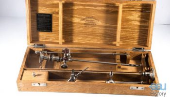 Universal cystoscope