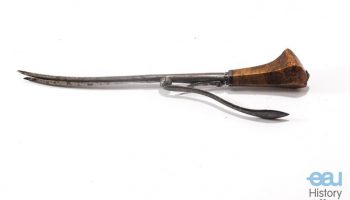 Lithotome caché after FRERE COME