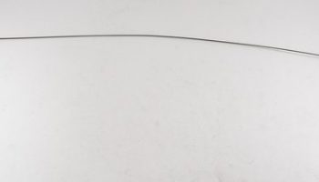 Scissors for slitting the ostia